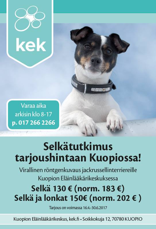 Selkäkuvauskampanja Kuopion Eläinlääkärikeskus