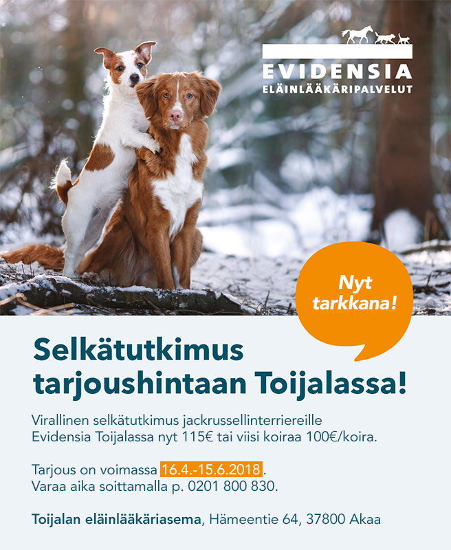 Selkäkuvauskampanja Toijalassa 16.4.-15.6.2018