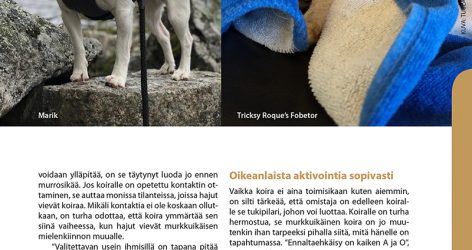 Murrosikäinen uros -artikkeli jäsenlehdestä Russeli 4/2018